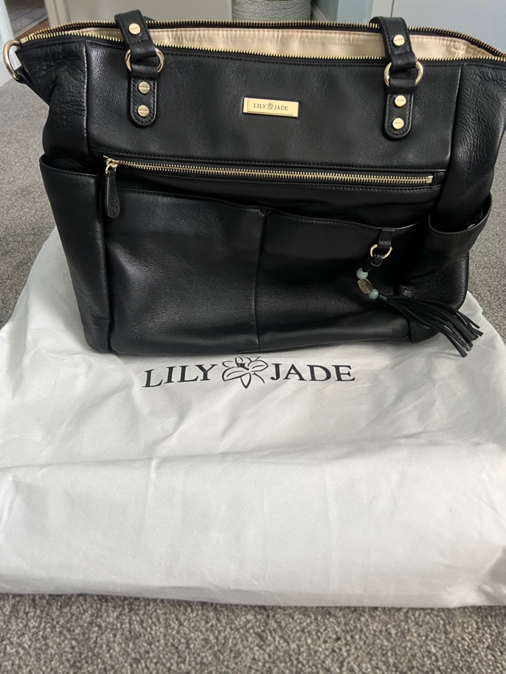 Lily Jade Black Leather Tote Bag